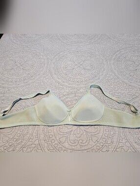 Vanity Fair Light Mint Wireless Seamless Bra